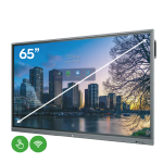 Vivitek NovoTouch EK655i